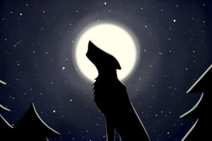 Moon, Wolf, Night, Stars