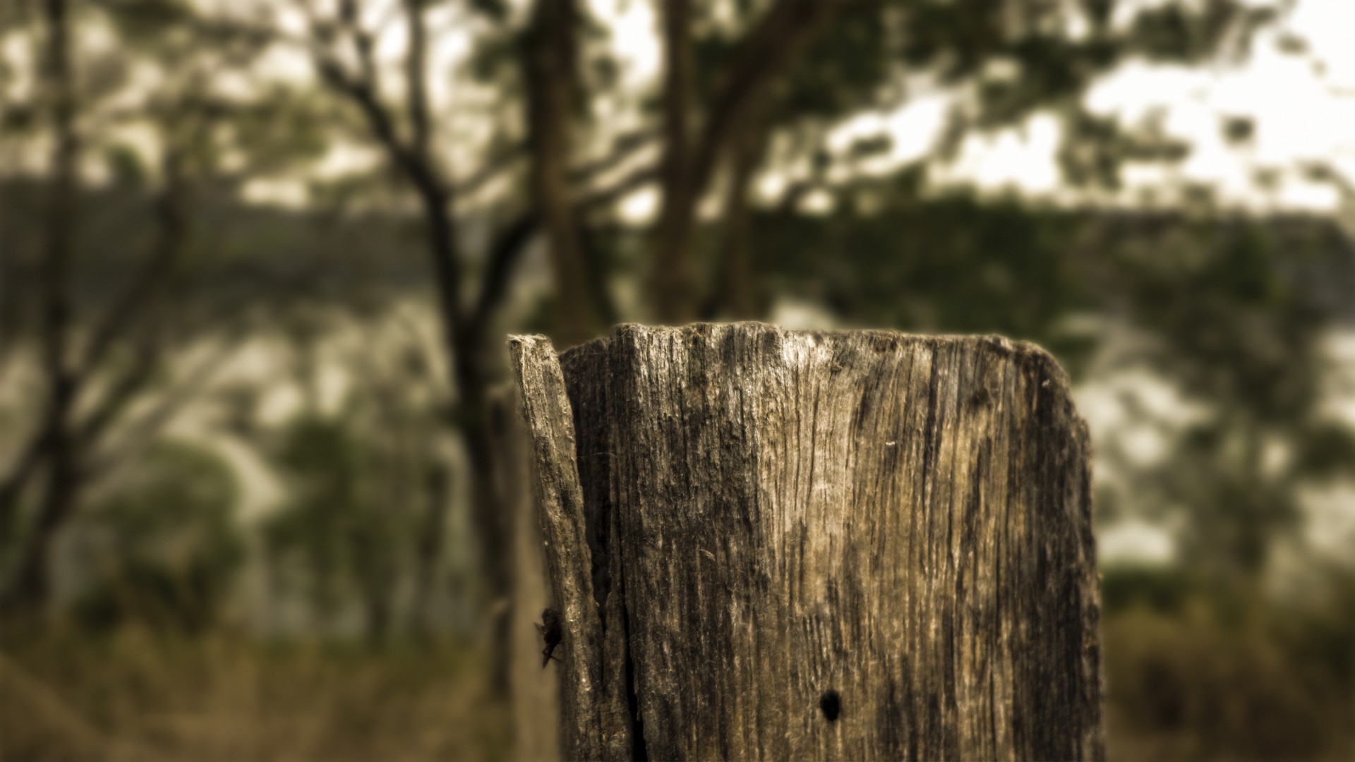 landscape, Trees, Fence Wallpaper