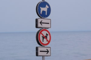dog, Road sign