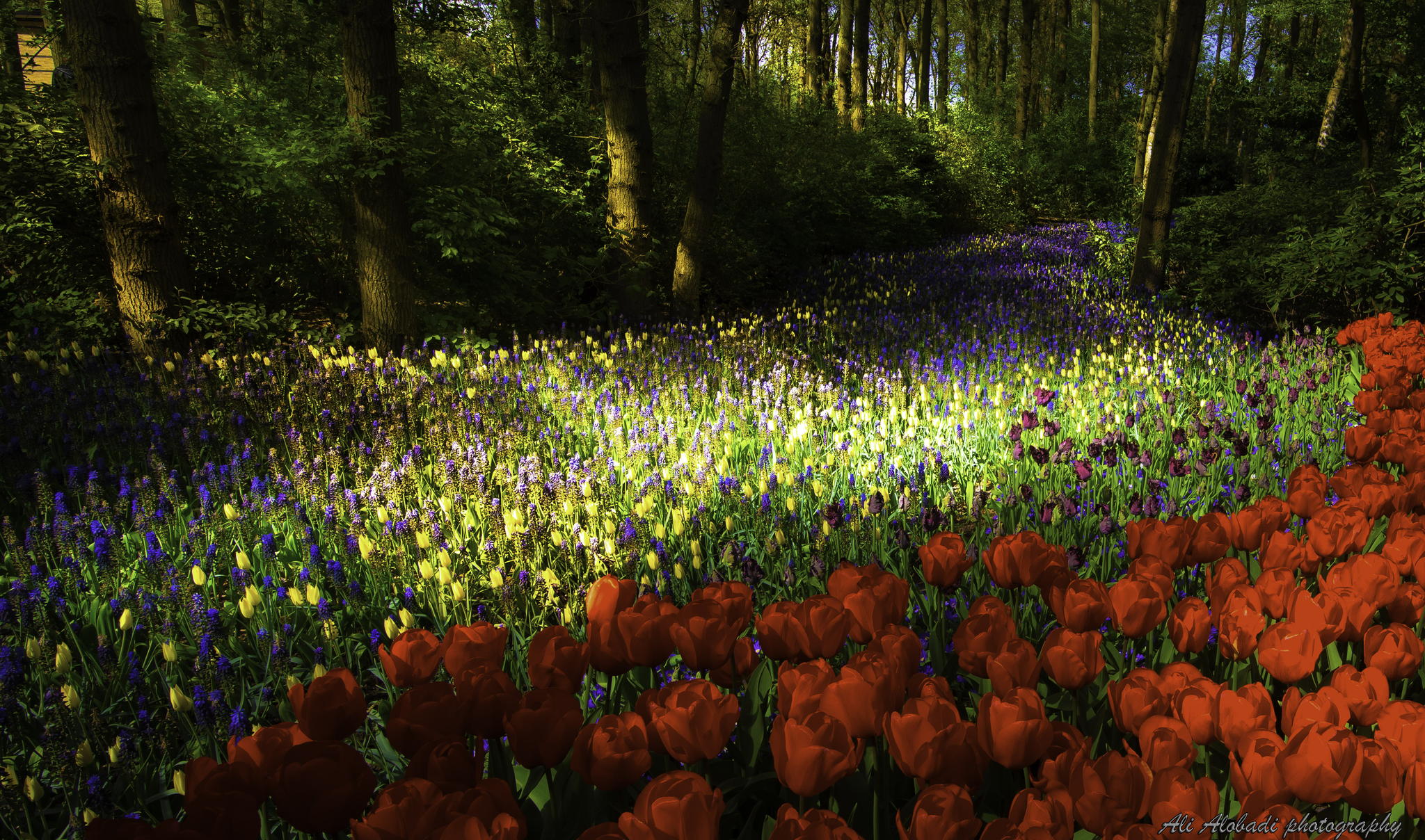 nature, Landscape Wallpaper