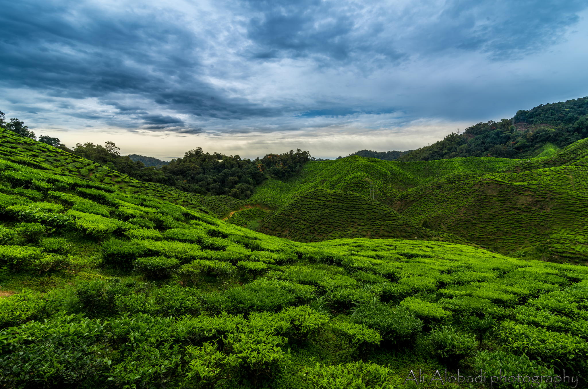 nature, Landscape Wallpaper