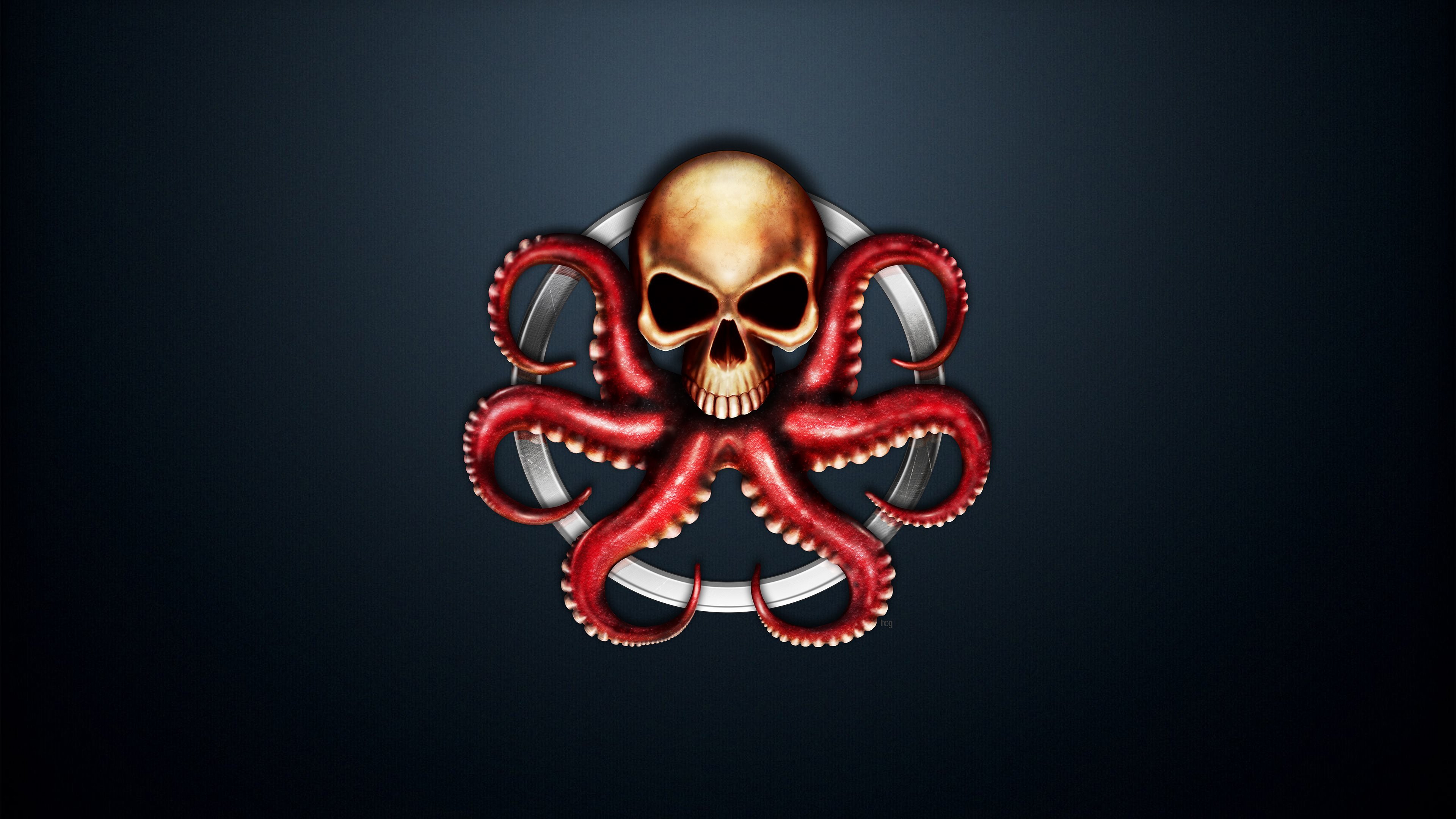 digital art, Skull, Simple background, Logo, Octopus, Tentacles, Blue background, Circle, Hydra, Marvel Comics, Hydra (comics) Wallpaper