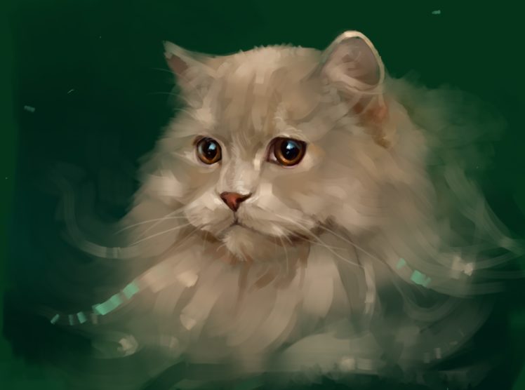 cat, Illustration HD Wallpaper Desktop Background