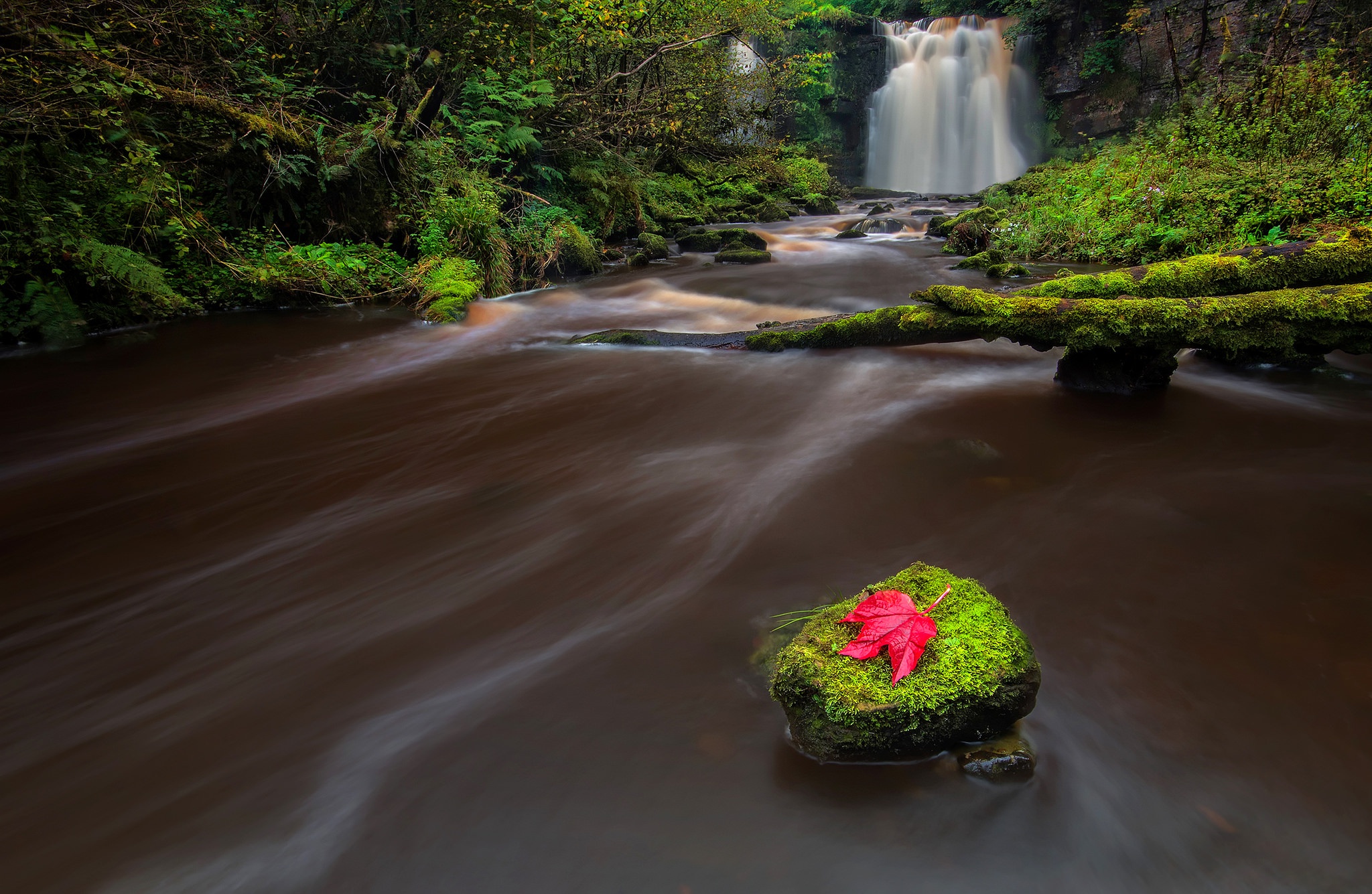 nature, River, Landscape, Waterfall, Leaves, Stones Wallpaper