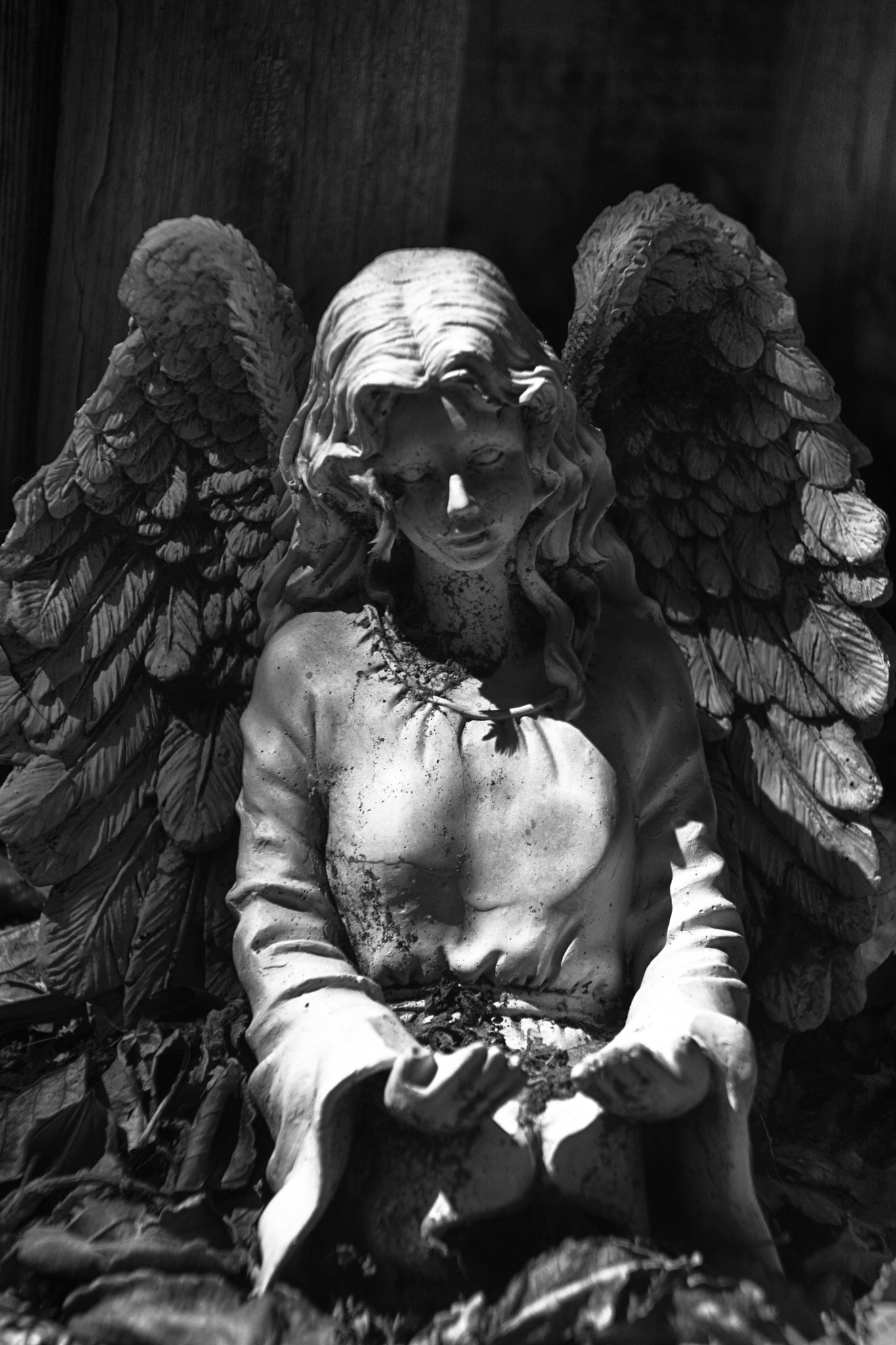Fred Higgins, 500px, Statue, Monochrome, Angel, Wings Wallpapers HD