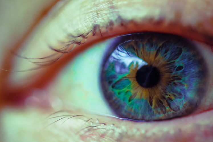 eyes, Blue eyes, Closeup, Macro HD Wallpaper Desktop Background