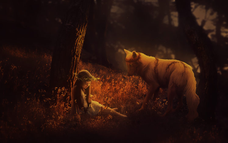 children, Forest, Depth of field, Wolf, Animals, Tree bark, Nature HD Wallpaper Desktop Background