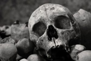 bones, Skull
