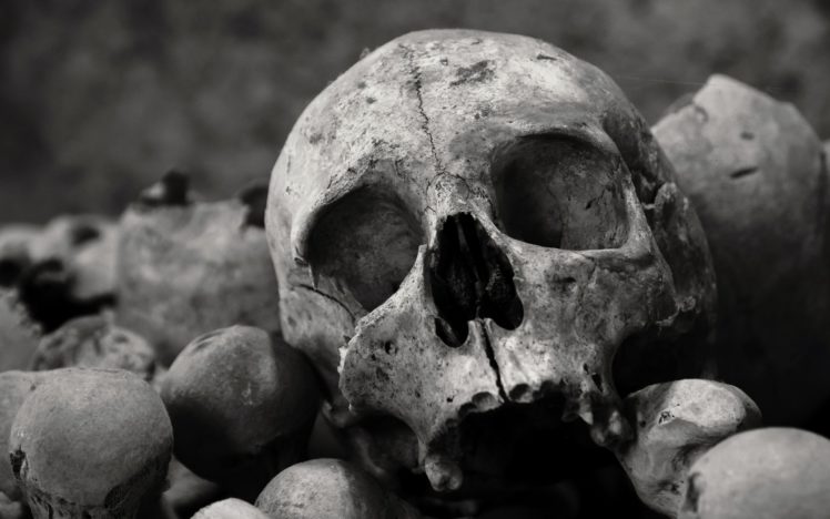 bones, Skull HD Wallpaper Desktop Background
