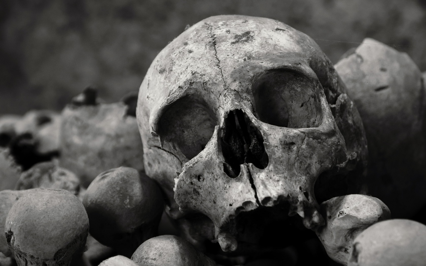 bones, Skull Wallpaper
