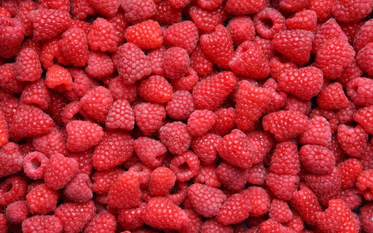 pattern, Fruit, Food, Red, Berries, Raspberries HD Wallpaper Desktop Background