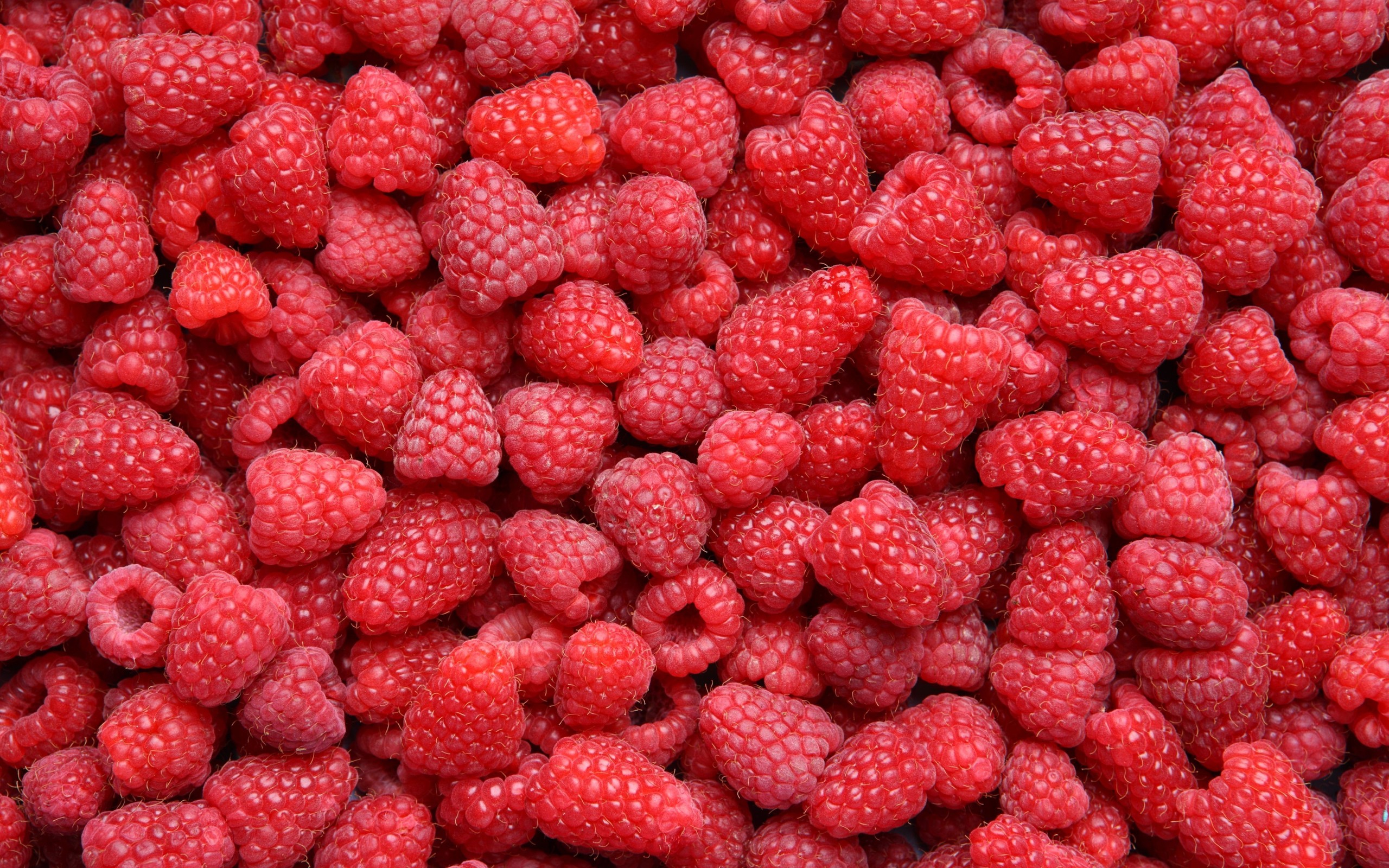 pattern, Fruit, Food, Red, Berries, Raspberries Wallpaper