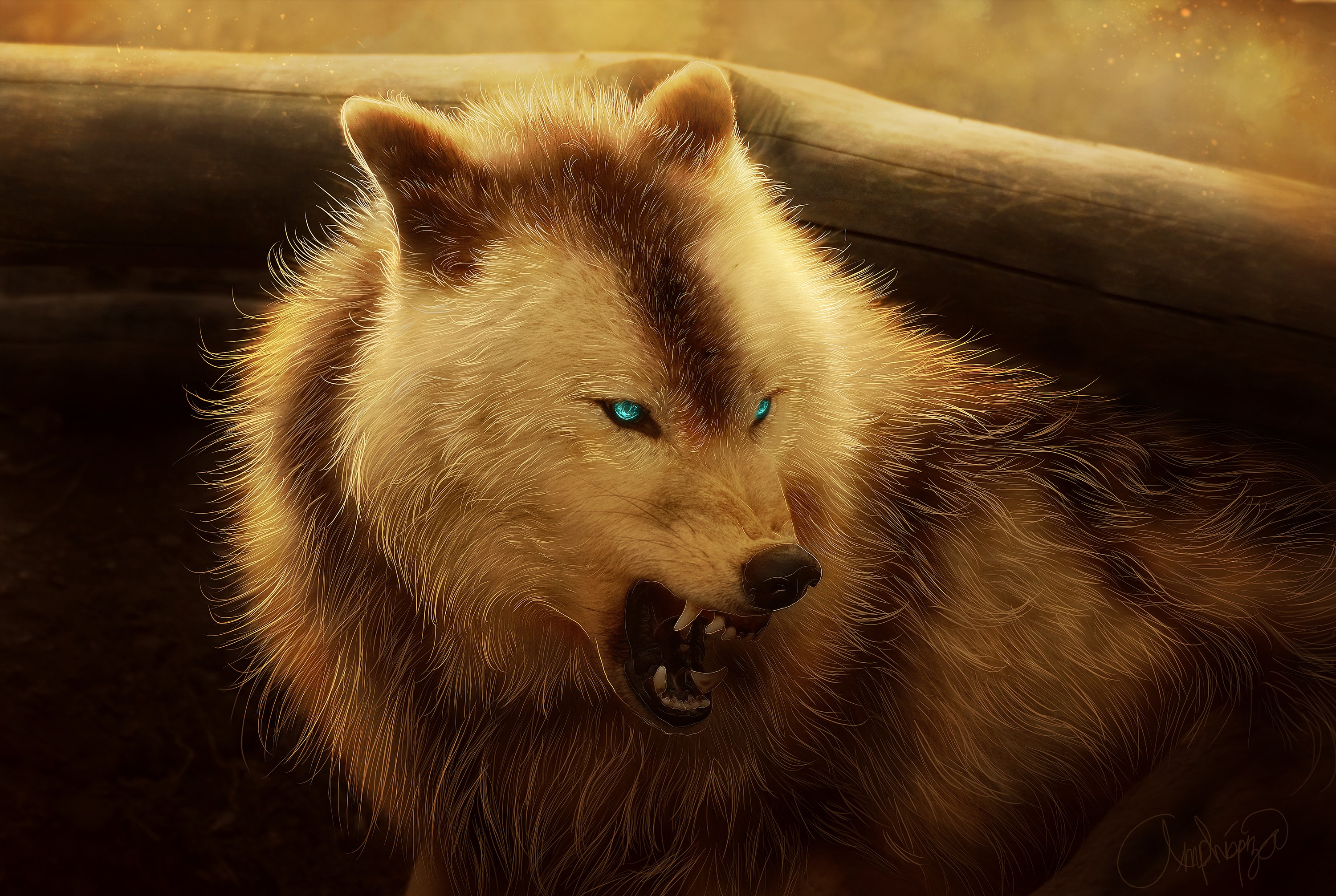 angry, Blue eyes, Wolf, Animals Wallpaper