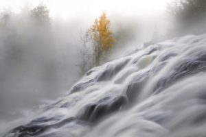 mist, Nature, Landscape, Long exposure, Trees, Fall
