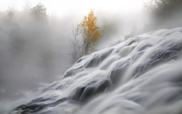 mist, Nature, Landscape, Long exposure, Trees, Fall HD Wallpaper Desktop Background