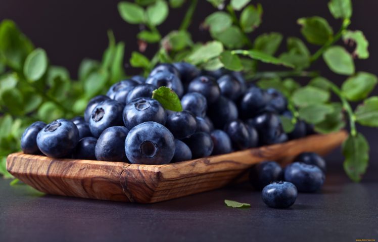 blue, Green, Berries, Food HD Wallpaper Desktop Background