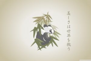 panda, Drawing