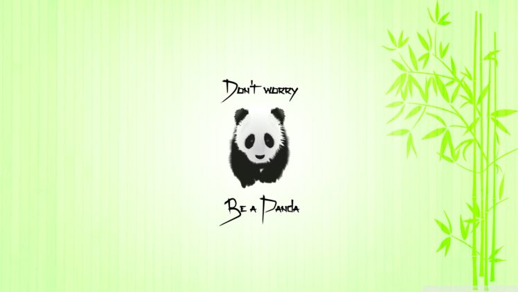 panda, Quote, Animals, Bamboo HD Wallpaper Desktop Background