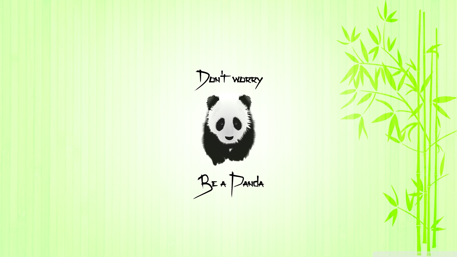 panda, Quote, Animals, Bamboo Wallpaper