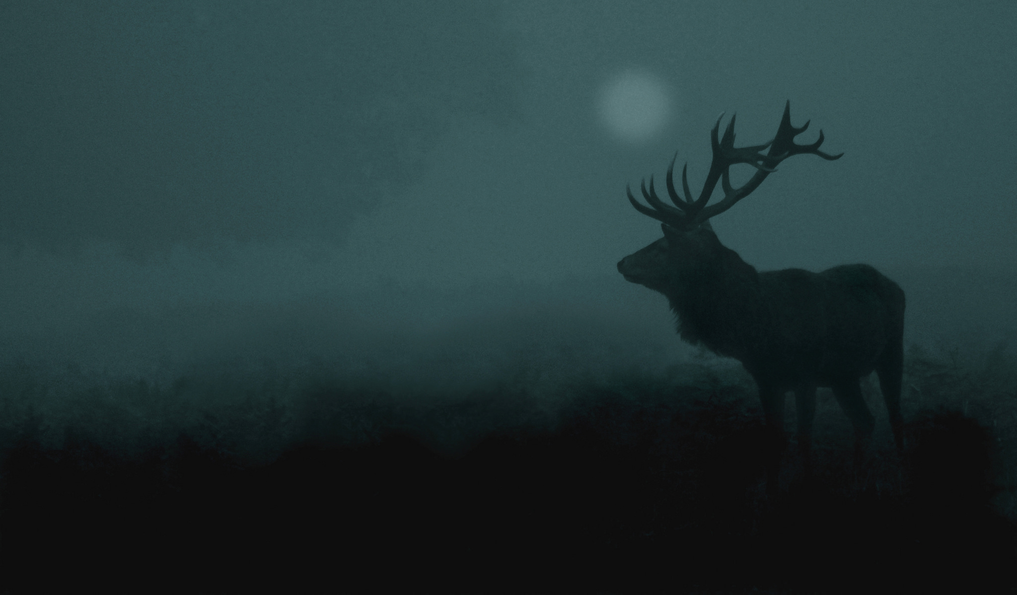 deer, Nature, Antlers Wallpaper