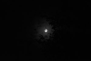 Moon, Night, Sky
