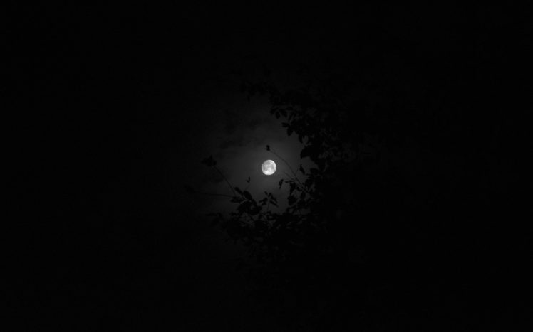 Moon, Night, Sky HD Wallpaper Desktop Background