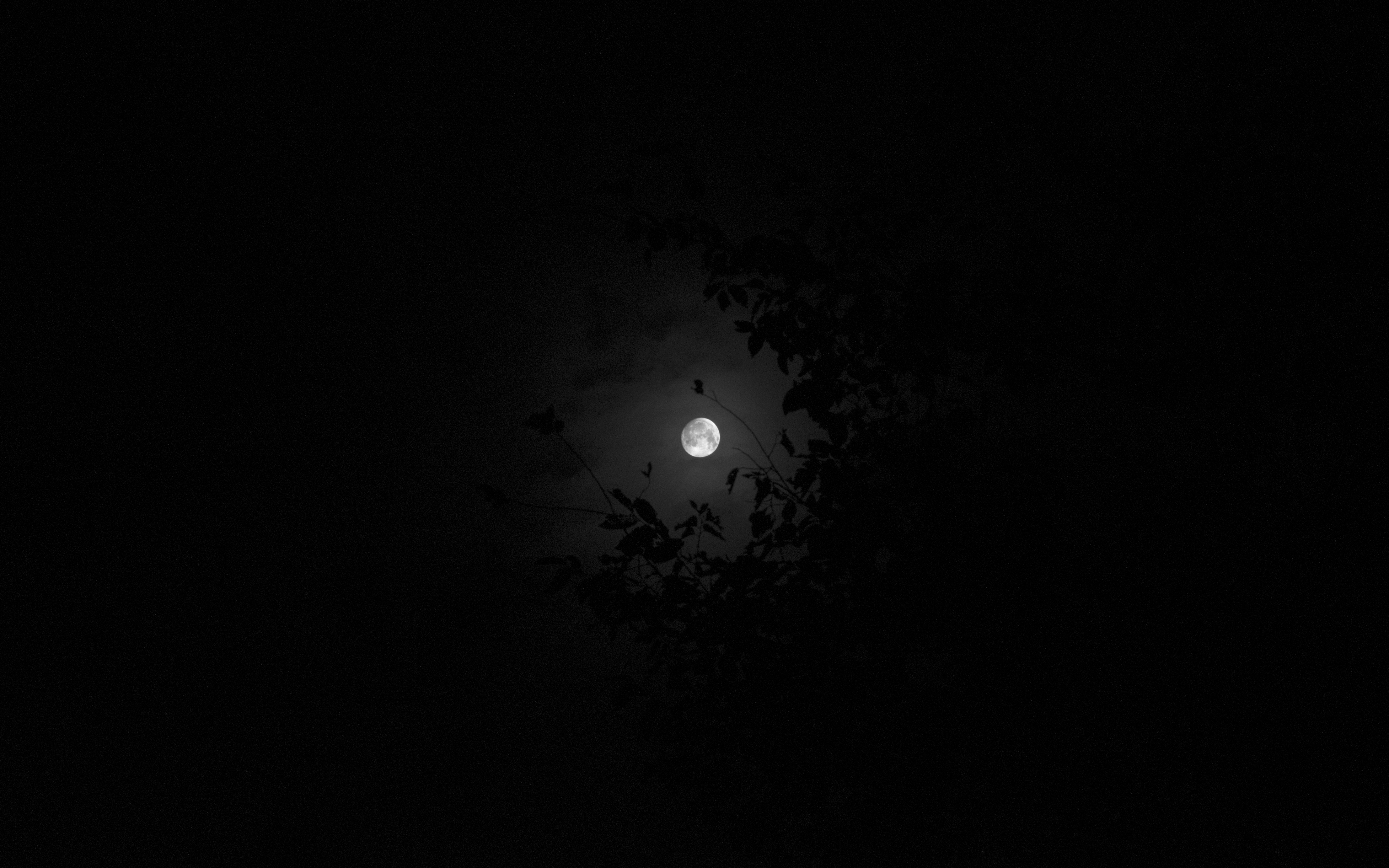 Moon, Night, Sky Wallpaper