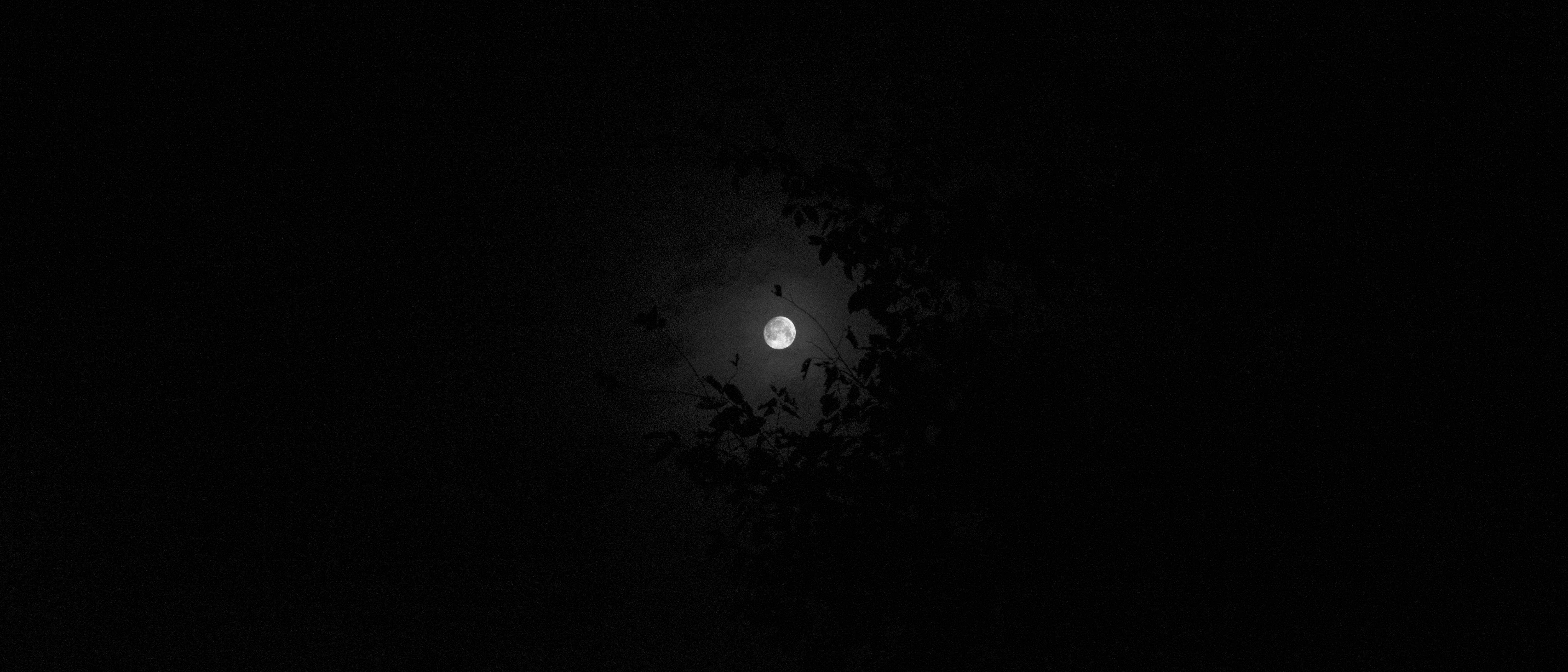 Moon, Night, Sky Wallpaper