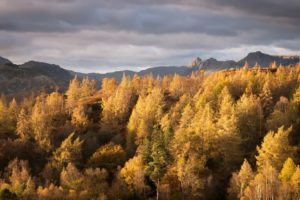 nature, Fall, Landscape, Trees, Mountains