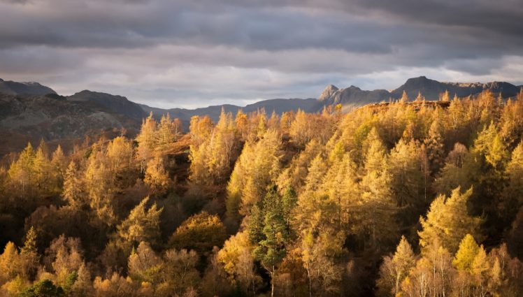 nature, Fall, Landscape, Trees, Mountains HD Wallpaper Desktop Background