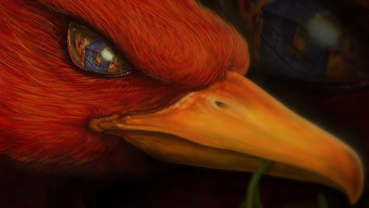 phoenix, Reflection HD Wallpaper Desktop Background