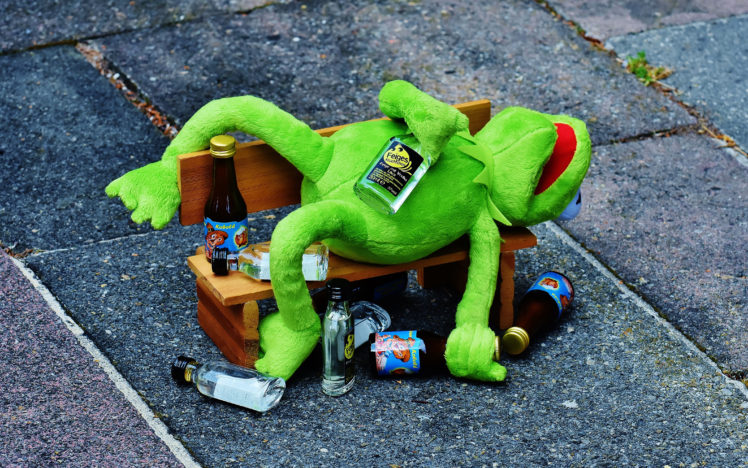 Kermit the Frog, Jim Henson, Drunk, The Muppets, Vodka, Humor HD Wallpaper Desktop Background