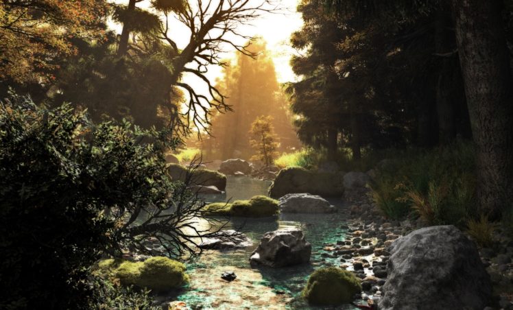 nature, Water, Trees HD Wallpaper Desktop Background