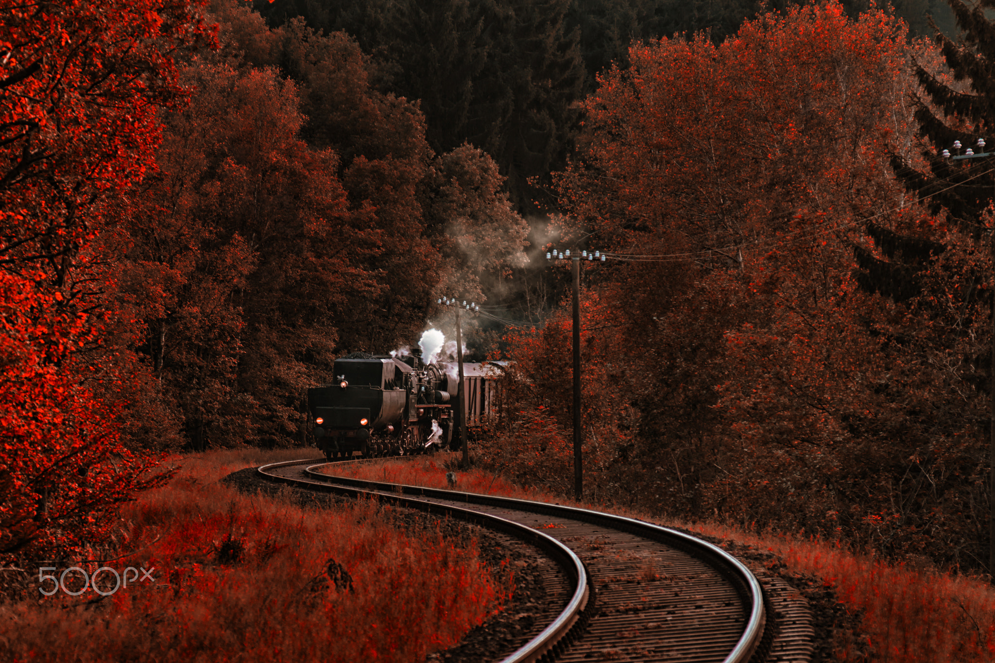 Niko Angelopoulos, Red, Nature, Landscape, 500px, Railway, Train, Trees, Vehicle Wallpaper