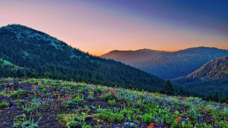 colorful, Mountains, Nature, Landscape, Flowers HD Wallpaper Desktop Background