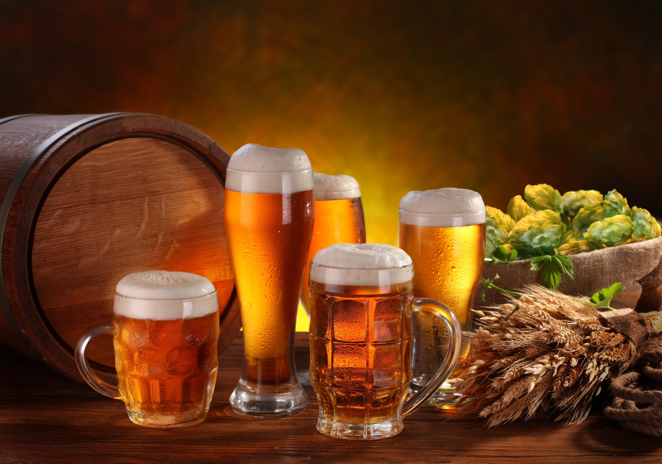beer, Food, Alcohol, Still life Wallpaper