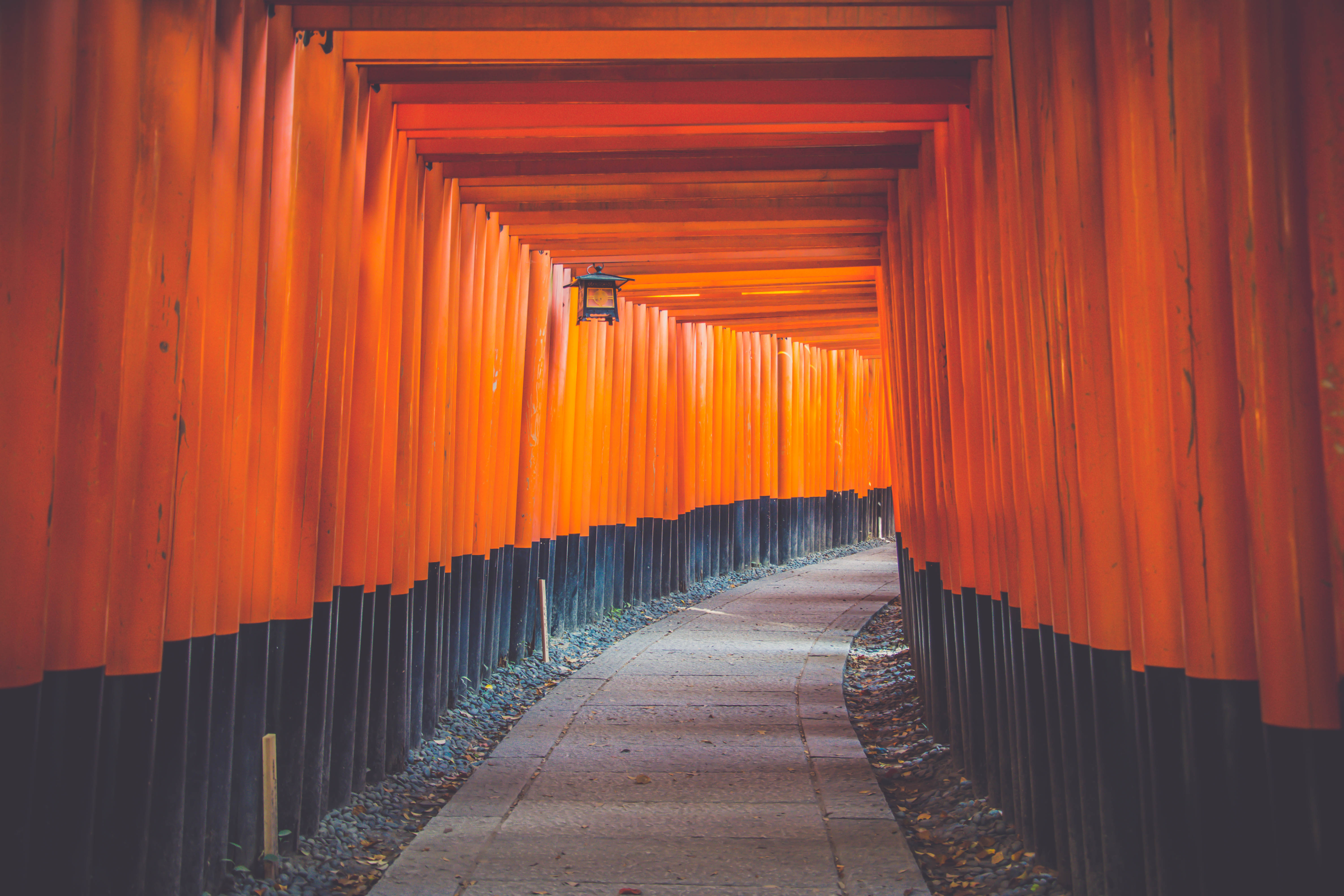 hallway, Blue, Orange, Wall, Architecture, Bright, Asian architecture, Japan, Outdoors, Path, Pathway Wallpaper