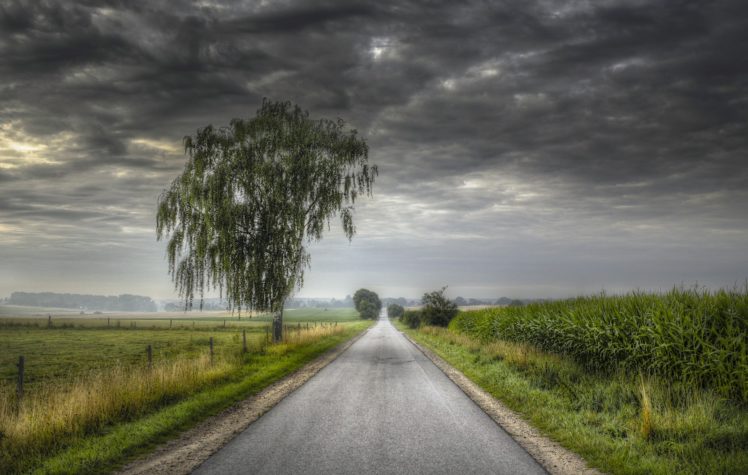 road, Sky, Clouds, Trees HD Wallpaper Desktop Background