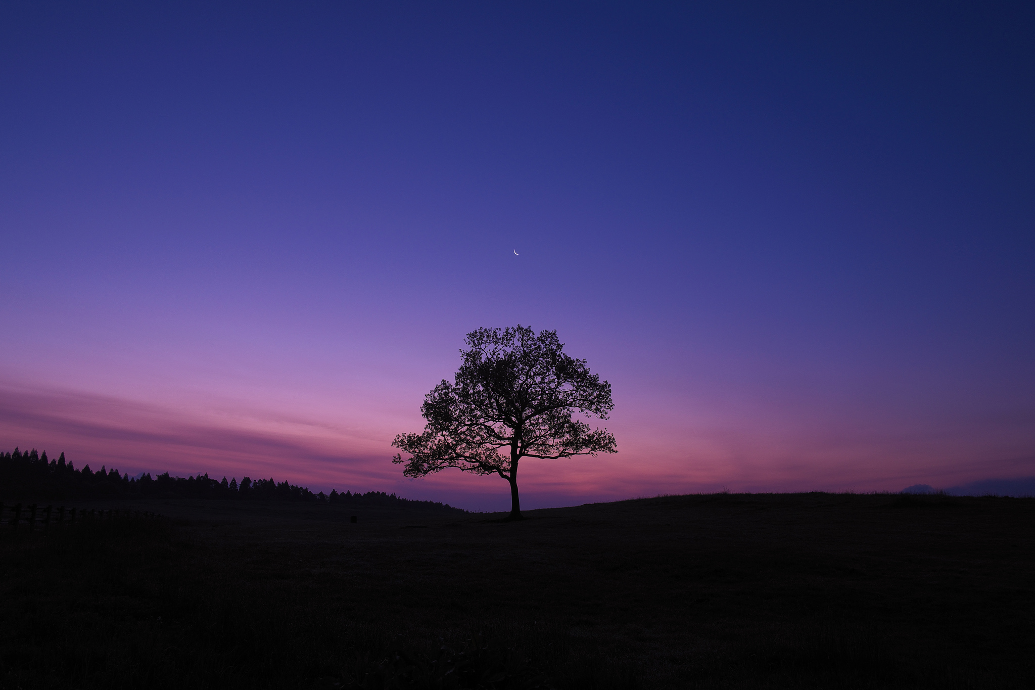 dark, Sky, Blue, Purple, Nature, Landscape, Trees Wallpapers HD / Desktop  and Mobile Backgrounds