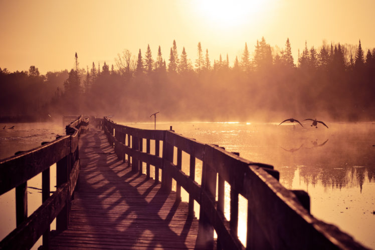 bridge, Sunlight, Water, Nature HD Wallpaper Desktop Background