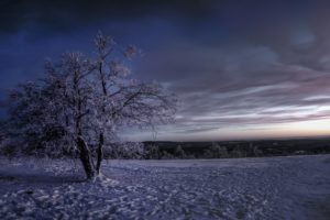 winter, Snow, Sky, Trees, Nature, Landscape