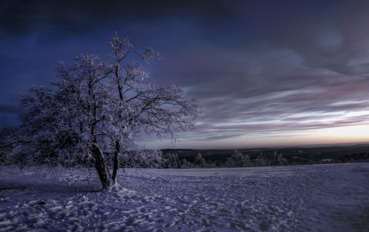 winter, Snow, Sky, Trees, Nature, Landscape HD Wallpaper Desktop Background