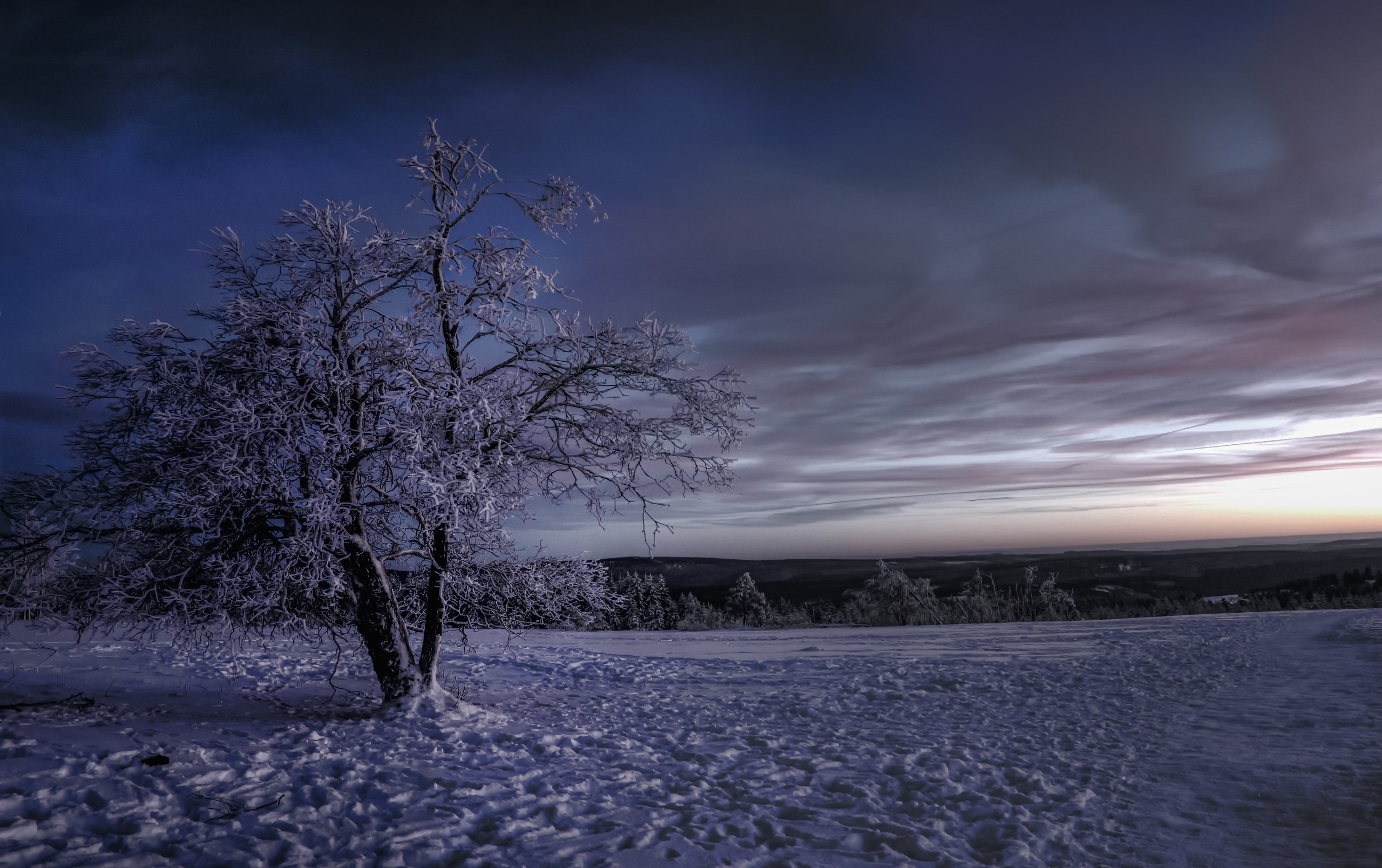 winter, Snow, Sky, Trees, Nature, Landscape Wallpaper