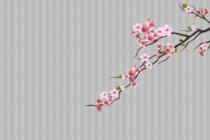 cherry trees, Cherry blossom, Minimalism, Dots, Pink flower