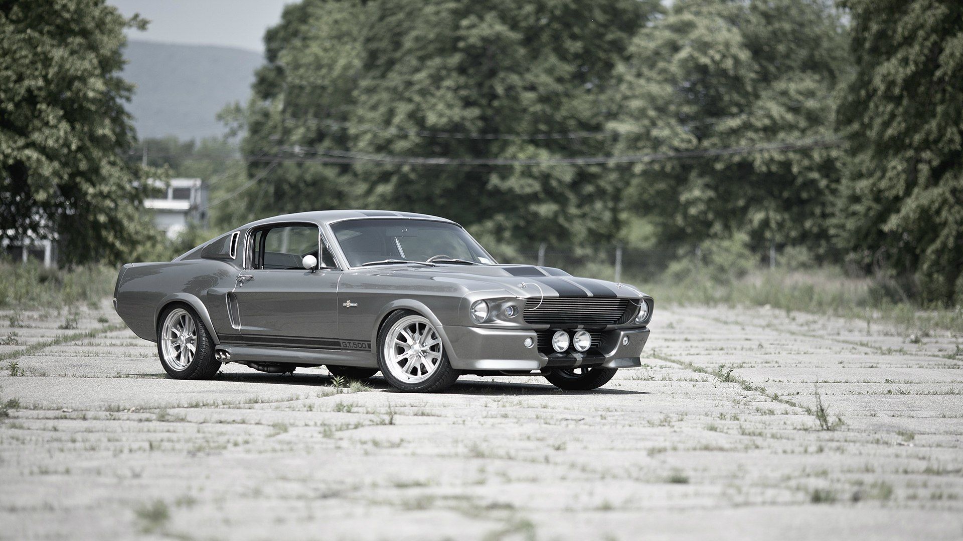 Ford, Car, Gt500, Mustang gt500, Ford Shelby GT500 Wallpaper