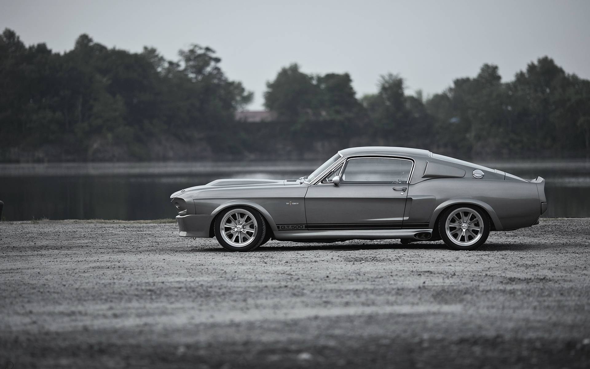 mustang gt500, Ford, Monochrome, Ford Shelby GT500, Car, Eleanor (car) Wallpaper