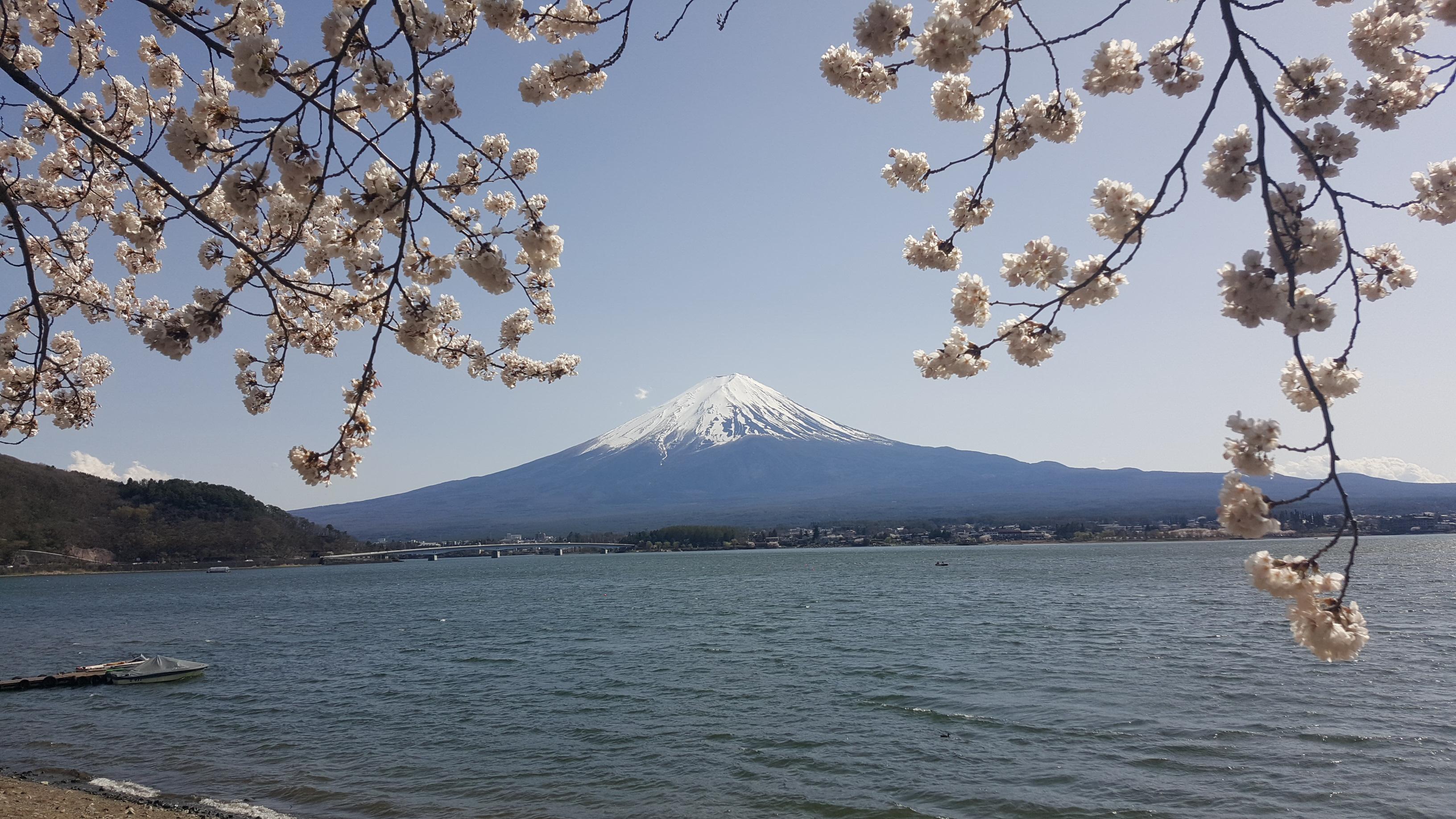 Japan, Nature, Mount Fuji, Lake, Spring Wallpaper