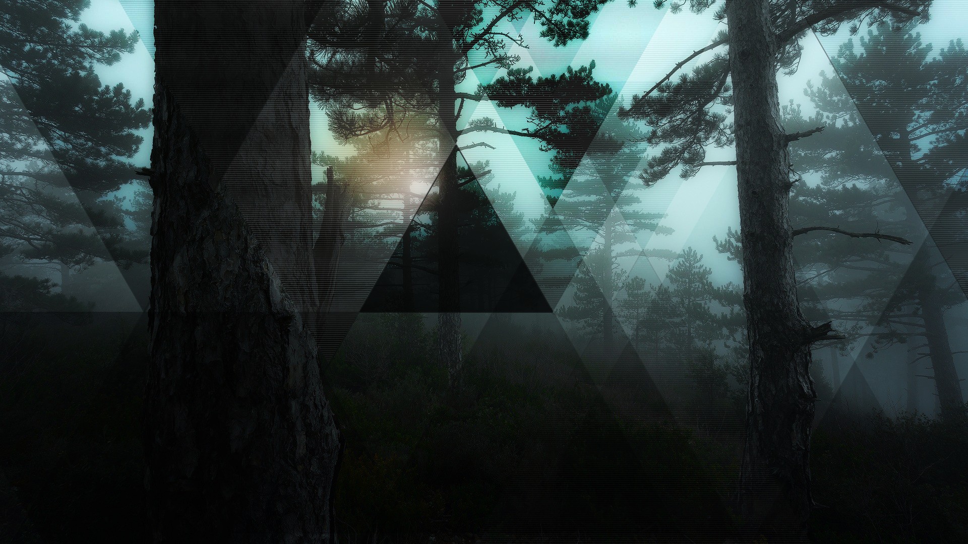 polyscape, Forest Wallpaper