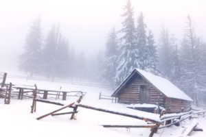 winter, Snow, Cabin, Trees, Forest, Mist