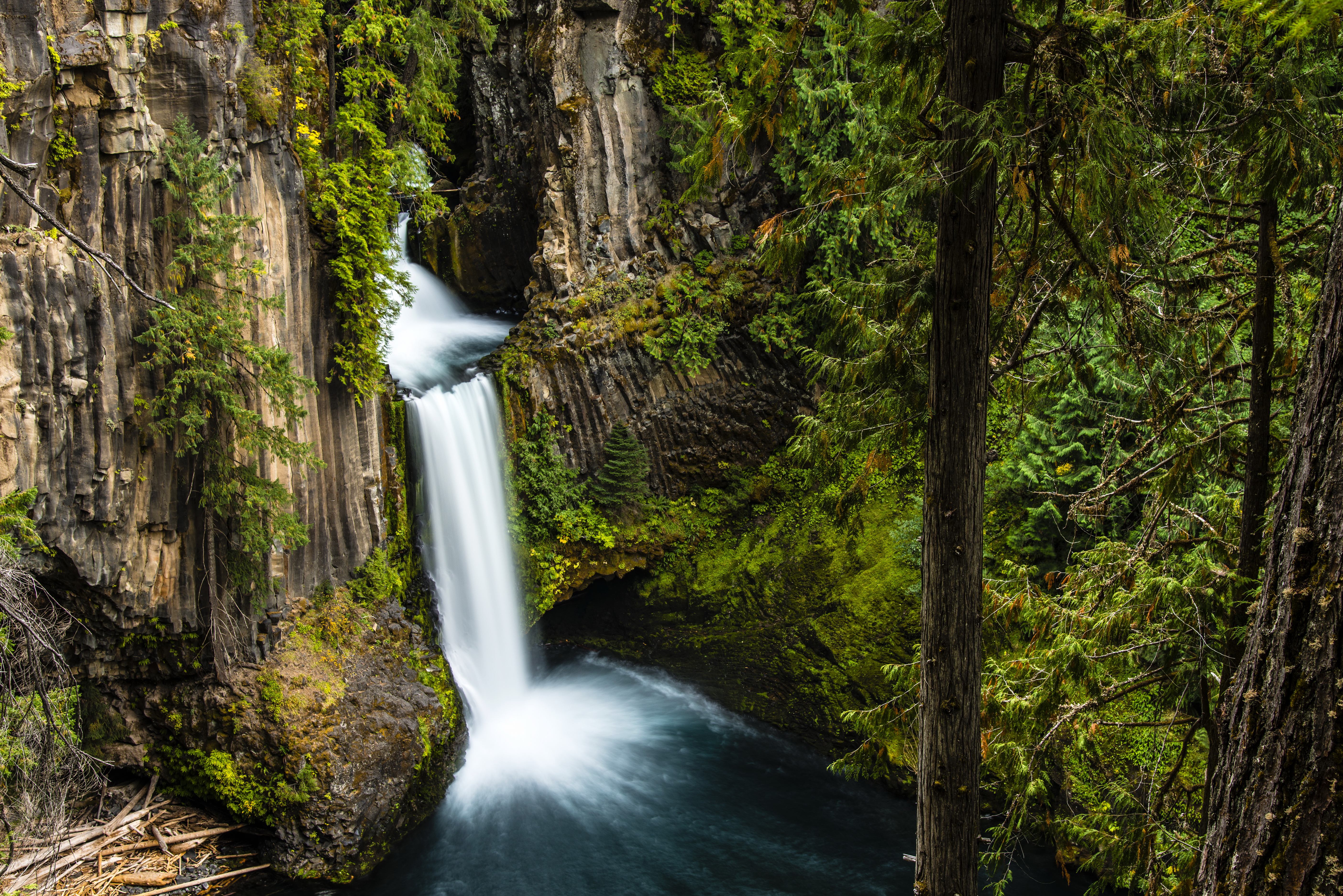 nature, Waterfall, Long exposure, Forest, Trees, Toketee Falls, Oregon, USA Wallpaper